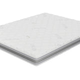 Saltea Zora de la Zymmo